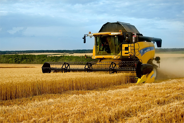 Сельское хозяйство Кубани получило 21 млрд. рублей